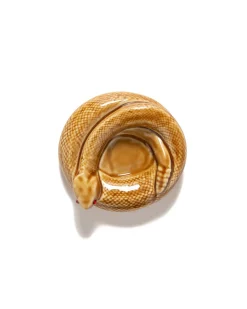 WACKO MARIA Wolf'S Head/Ashtray Beige>Men Home Goods