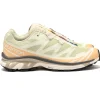 Salomon Advanced Xt-6 Aloe Wash/Hazelnut/Feather Gray>Men Footwear